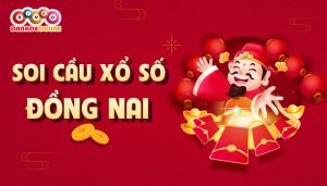 Soi cầu Đồng Nai 11-09-2024 – Dự đoán XSĐN với dàn lô đẹp