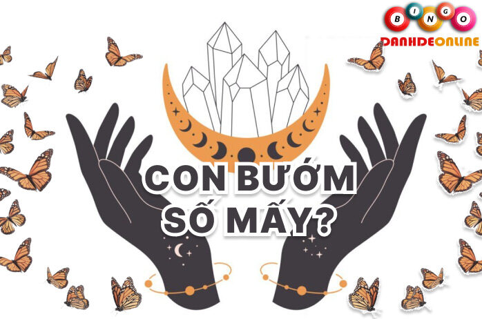 Con bướm số mấy?