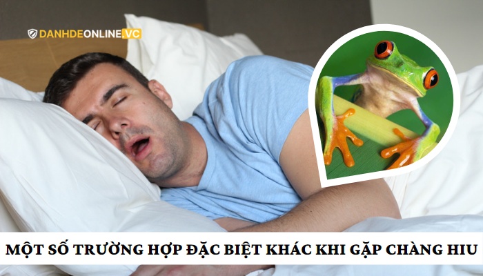 con chàng hiu đánh số gì