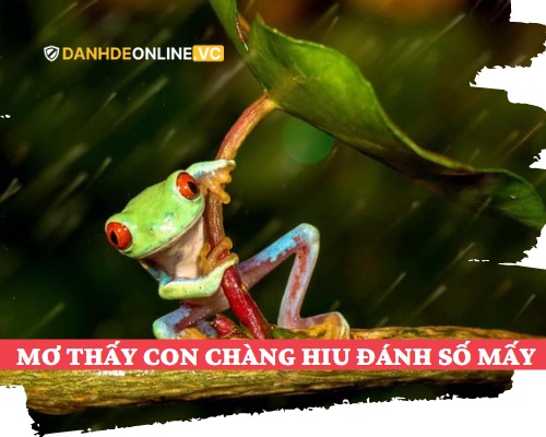 Mơ thấy con chàng hiu đánh số mấy