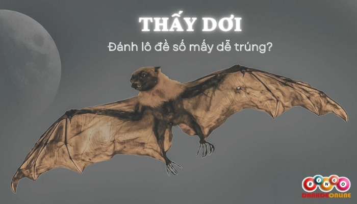 thấy con dơi đánh đề số mấy